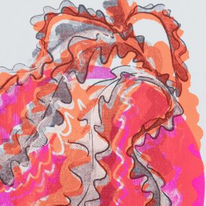 zickzack kaktus. (orange)